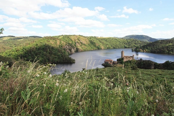 Rencontres dans la Loire