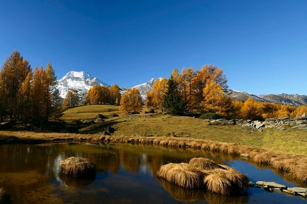 Rencontres dans la Savoie