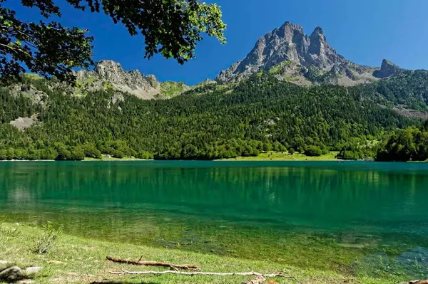 Rencontres dans les Pyrénées-Atlantiques