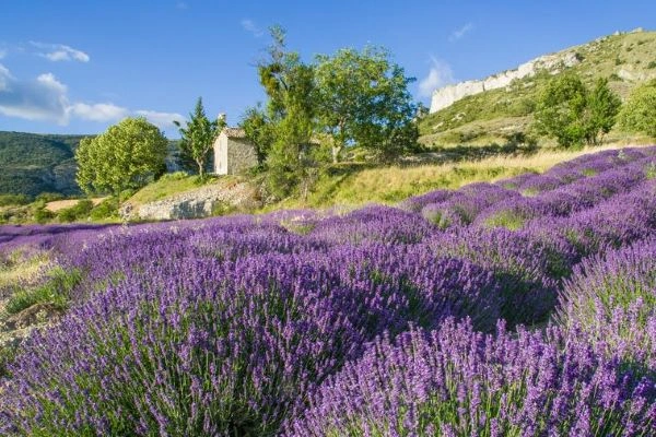 Rencontres dans la Lozère