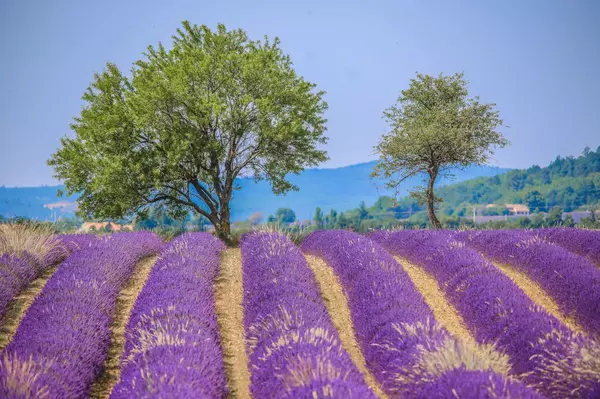 Rencontres dans le Vaucluse